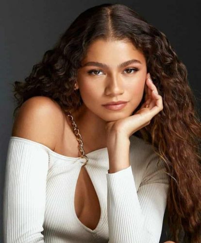 Is Zendaya Pregnant? Ultrasound Photo Confuses Fans