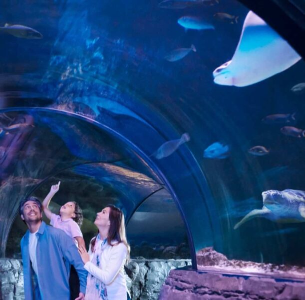 Kansas City Aquarium